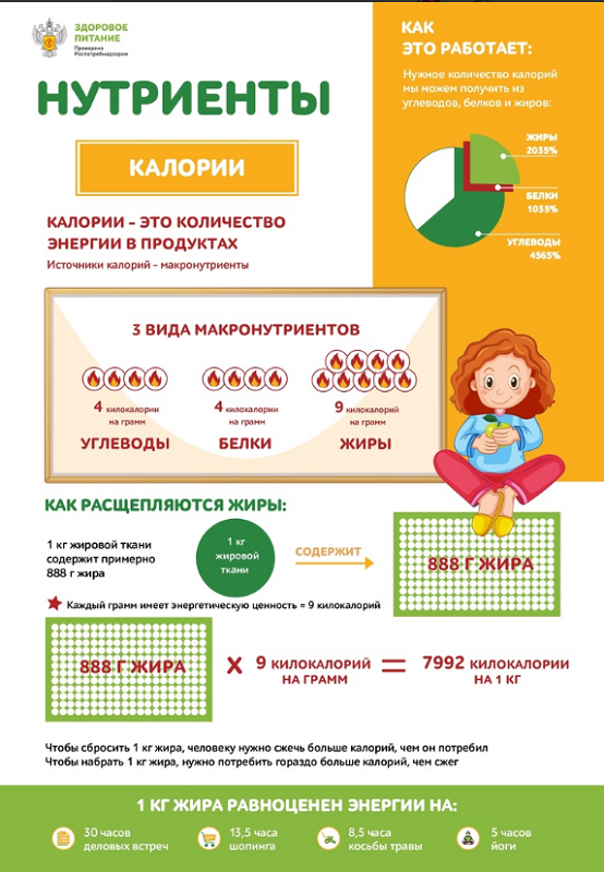 3 питание.png